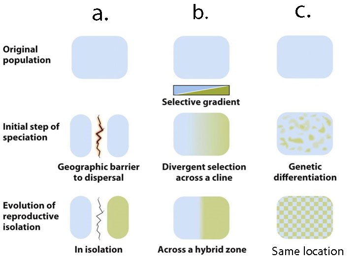 Biological Evolution Exam 3